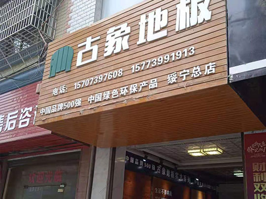 湖南邵陽(yáng)綏寧縣古象專賣店